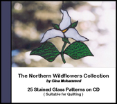 NWC CD/DVD Cover